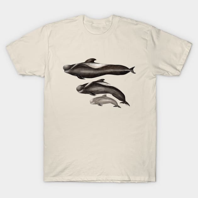 Short-finned pilot whale T-Shirt by chloeyzoard